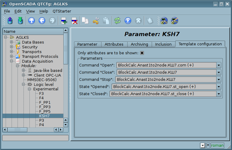 Configuration tab of the template of parameter. Show only attributes. (82 Kb)