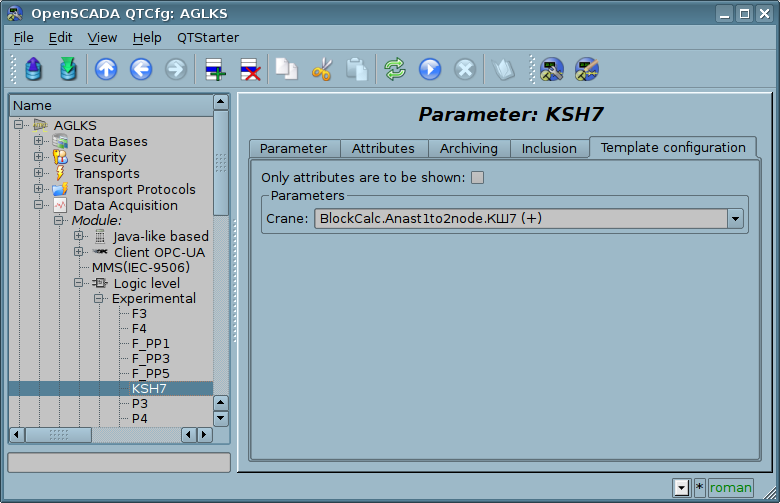 Configuration tab of the template of parameter. (66 Kb)