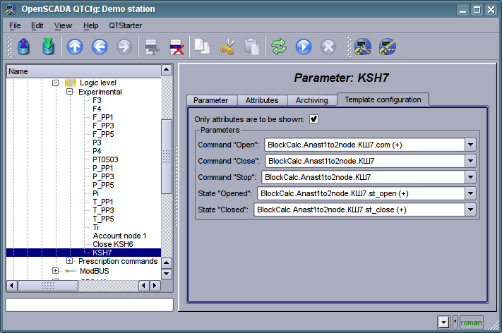 The "Template config" tab of the parameter of the controller of subsystem "Data acquisition". (65 Kb)