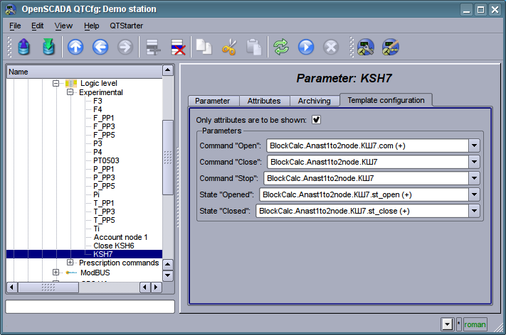 The "Template config" tab of the parameter of the controller of subsystem "Data acquisition". (65 )