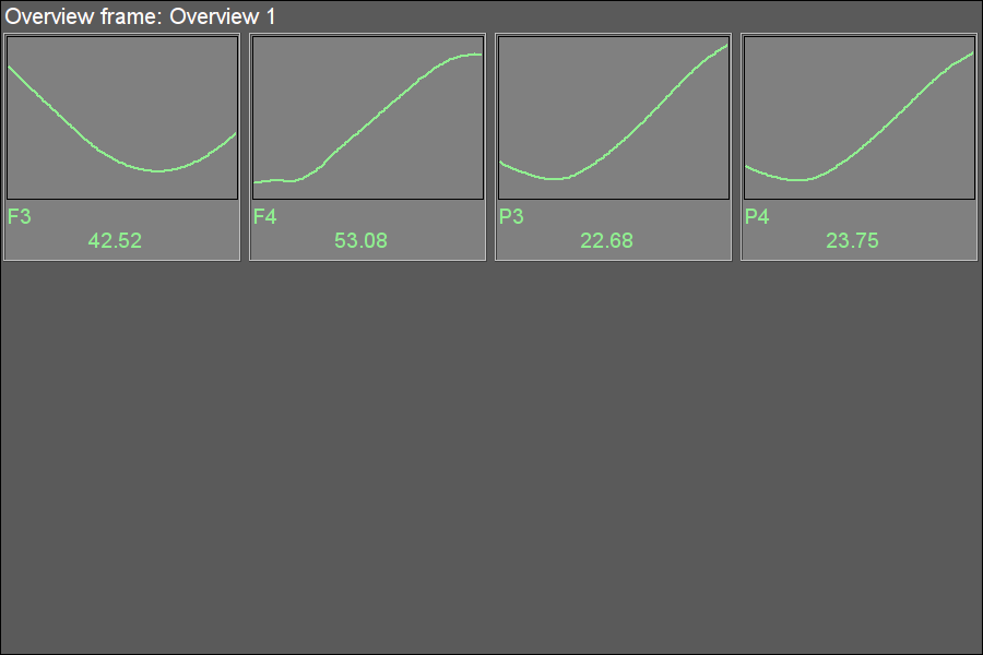 "Overview frames panel" widget in the runtime mode. (12 Kb)